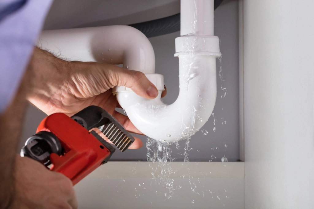 plumbing leaks